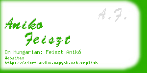 aniko feiszt business card